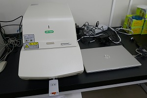 image_of_RT-PCR