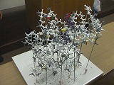 大学院講義・分子模型