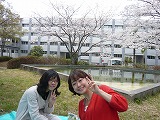 写真・お花見1