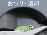 研究室旅行の写真1